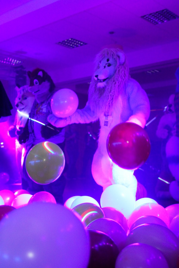 Furvester 2018-2019, Dances