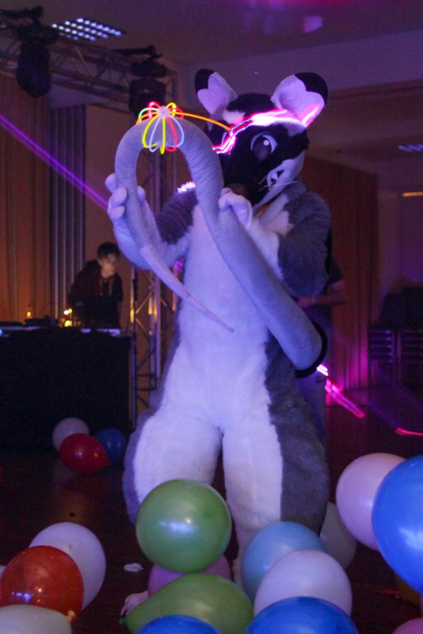 Furvester 2018-2019, Dances