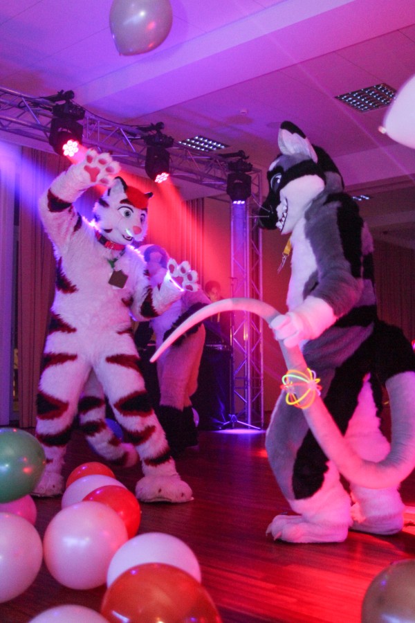 Furvester 2018-2019, Dances
