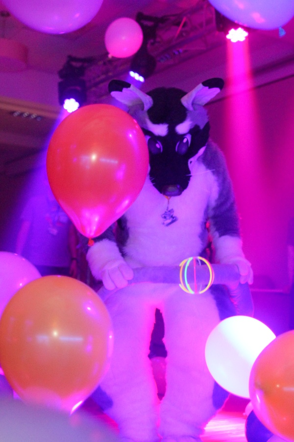 Furvester 2018-2019, Dances