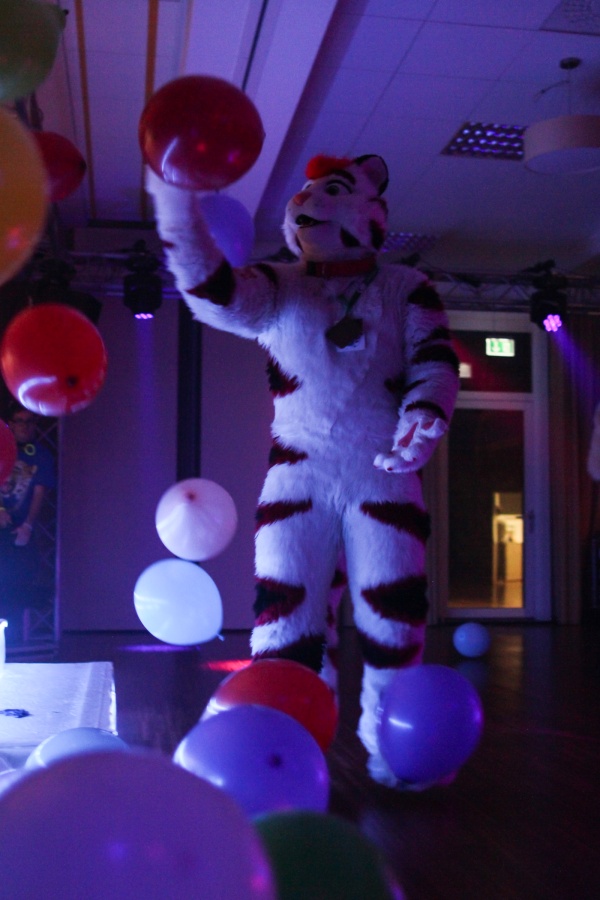 Furvester 2018-2019, Dances