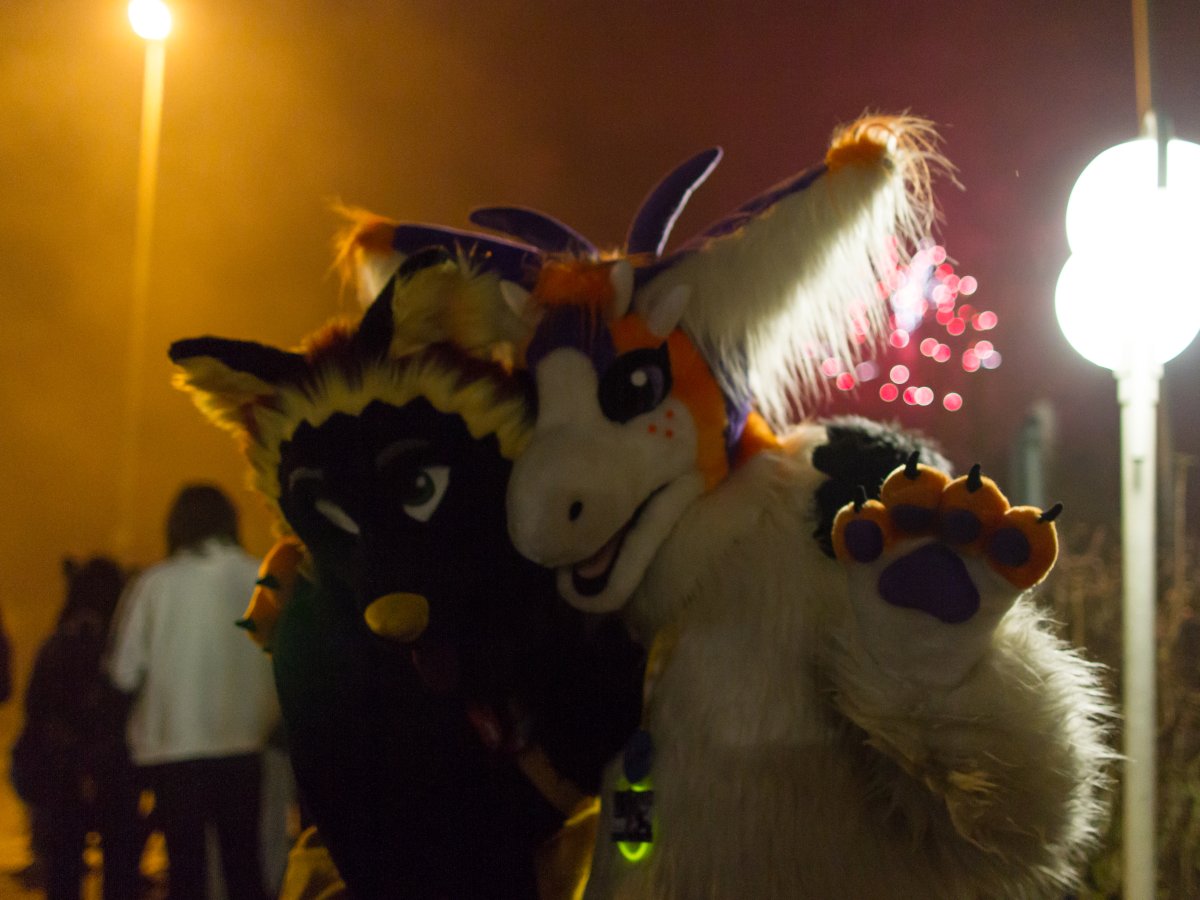 Furvester 2018-2019, Other photos