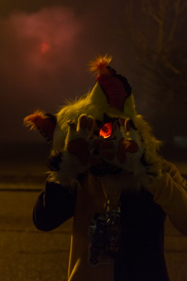 Furvester 2018-2019, Other photos