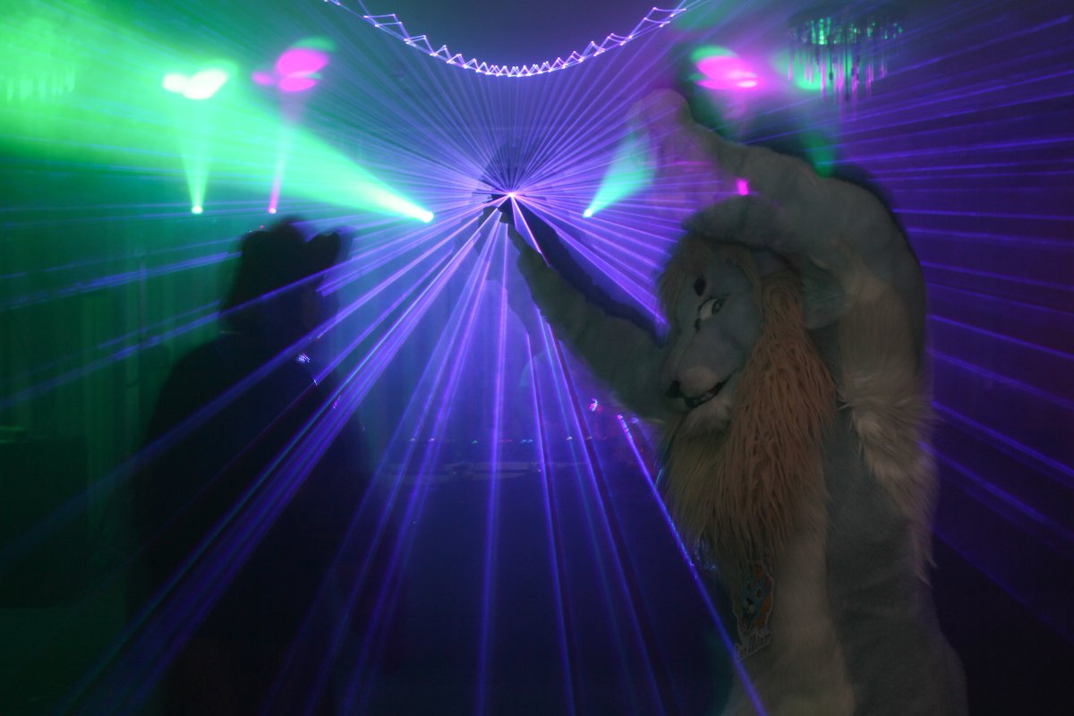 Furvester 2018-2019, Dances