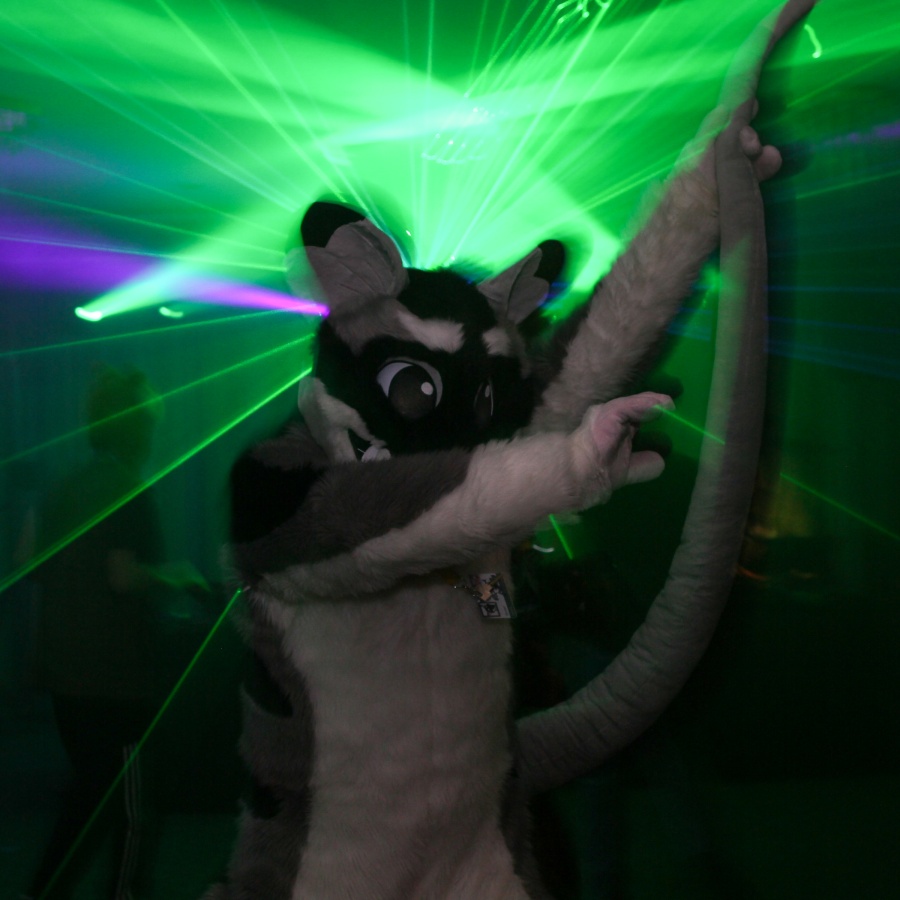 Furvester 2018-2019, Dances