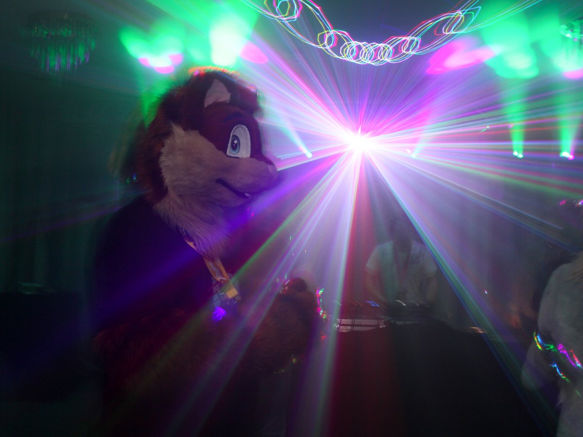 Furvester 2018-2019