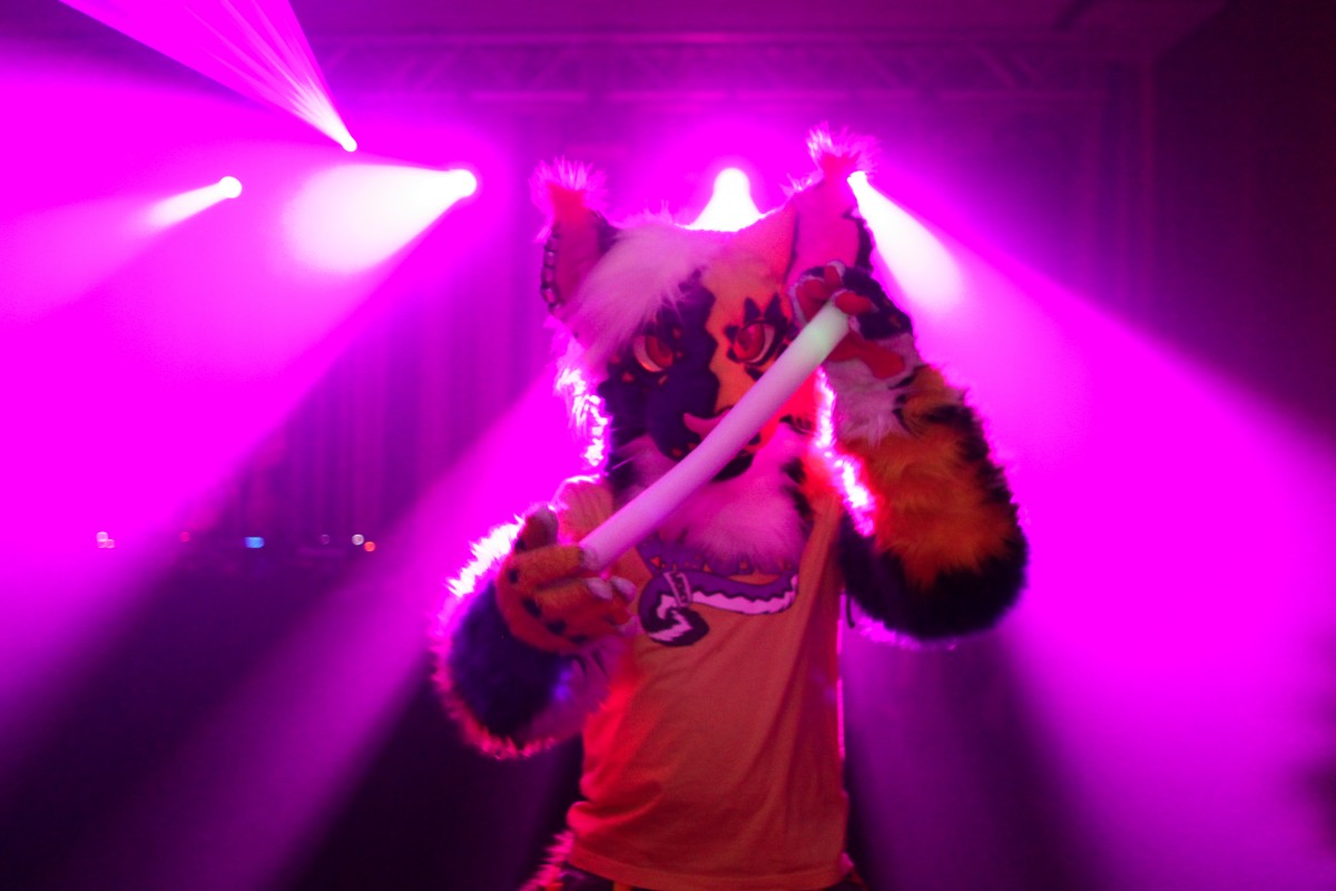 Furvester 2018-2019, Dances