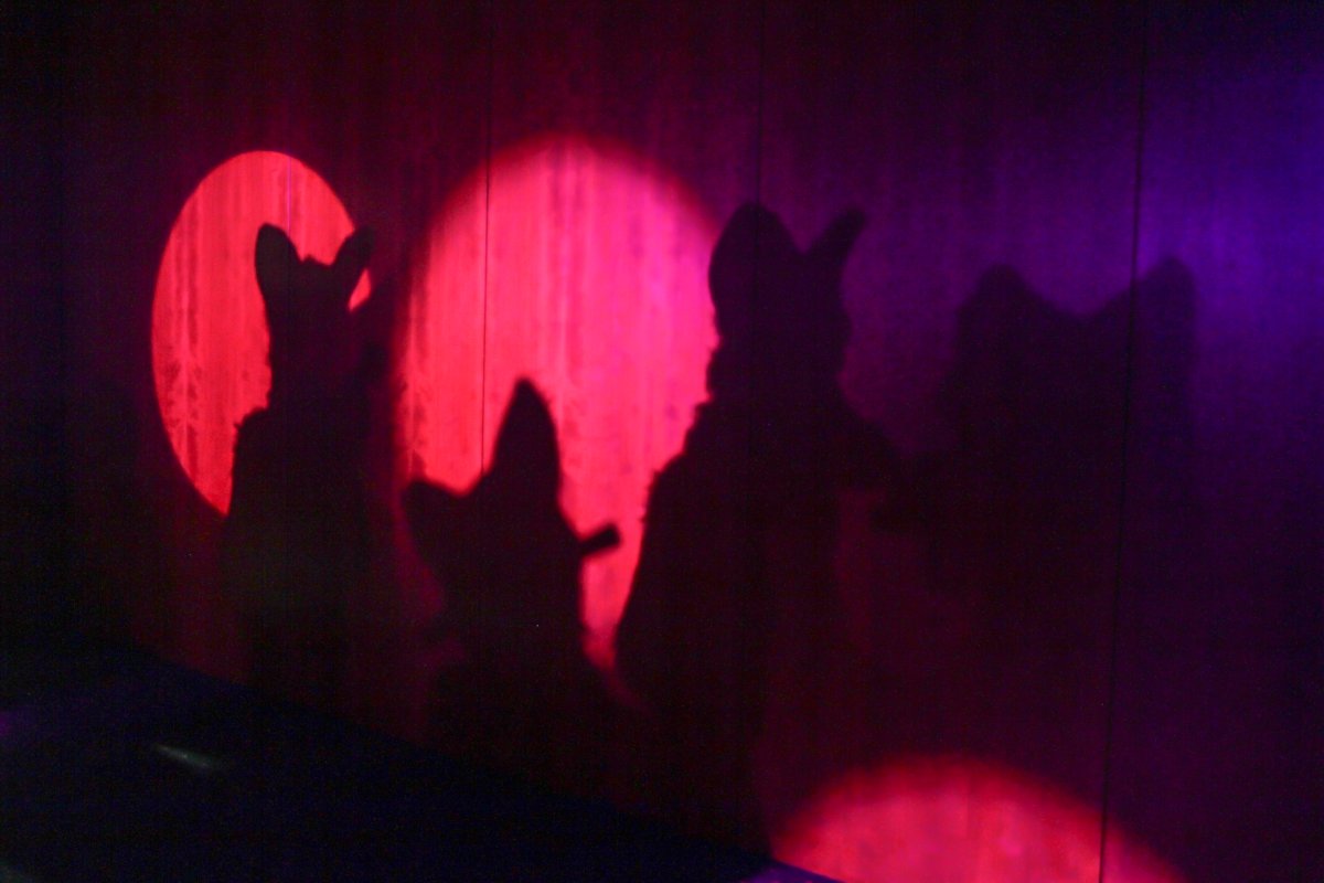 Furvester 2018-2019, Dances