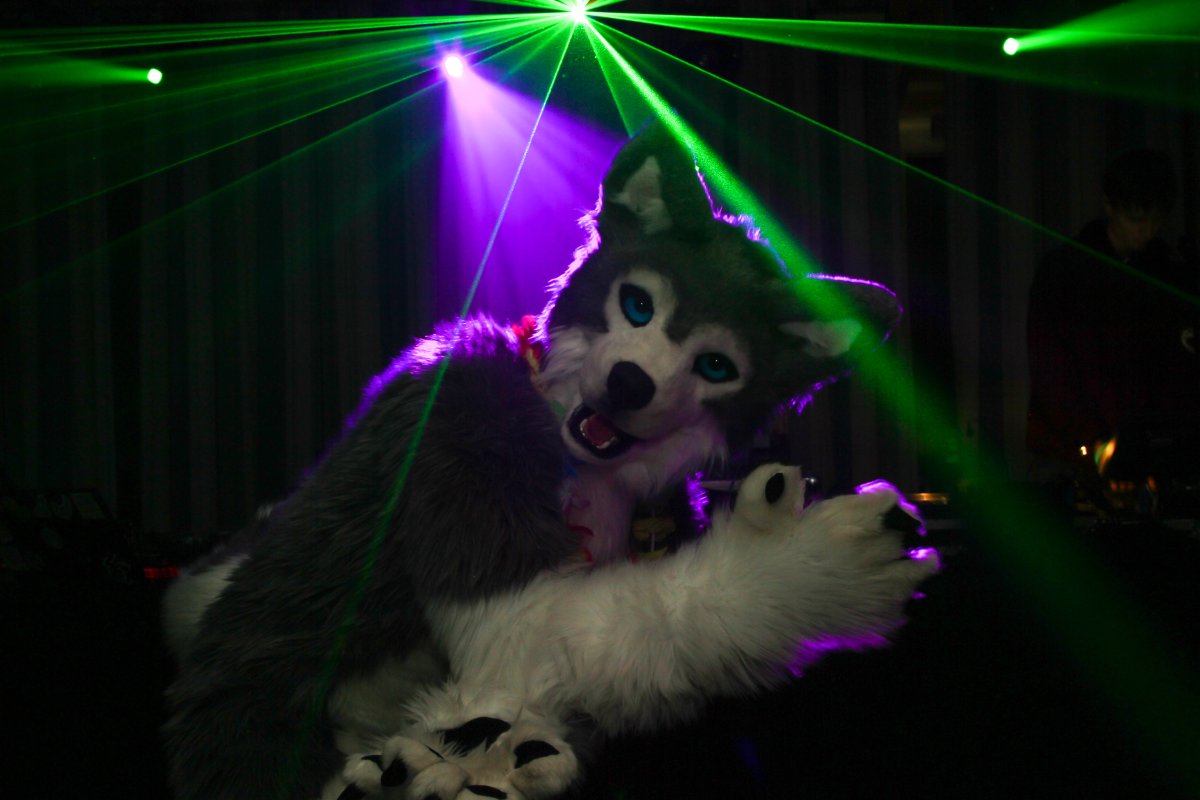 Furvester 2018-2019