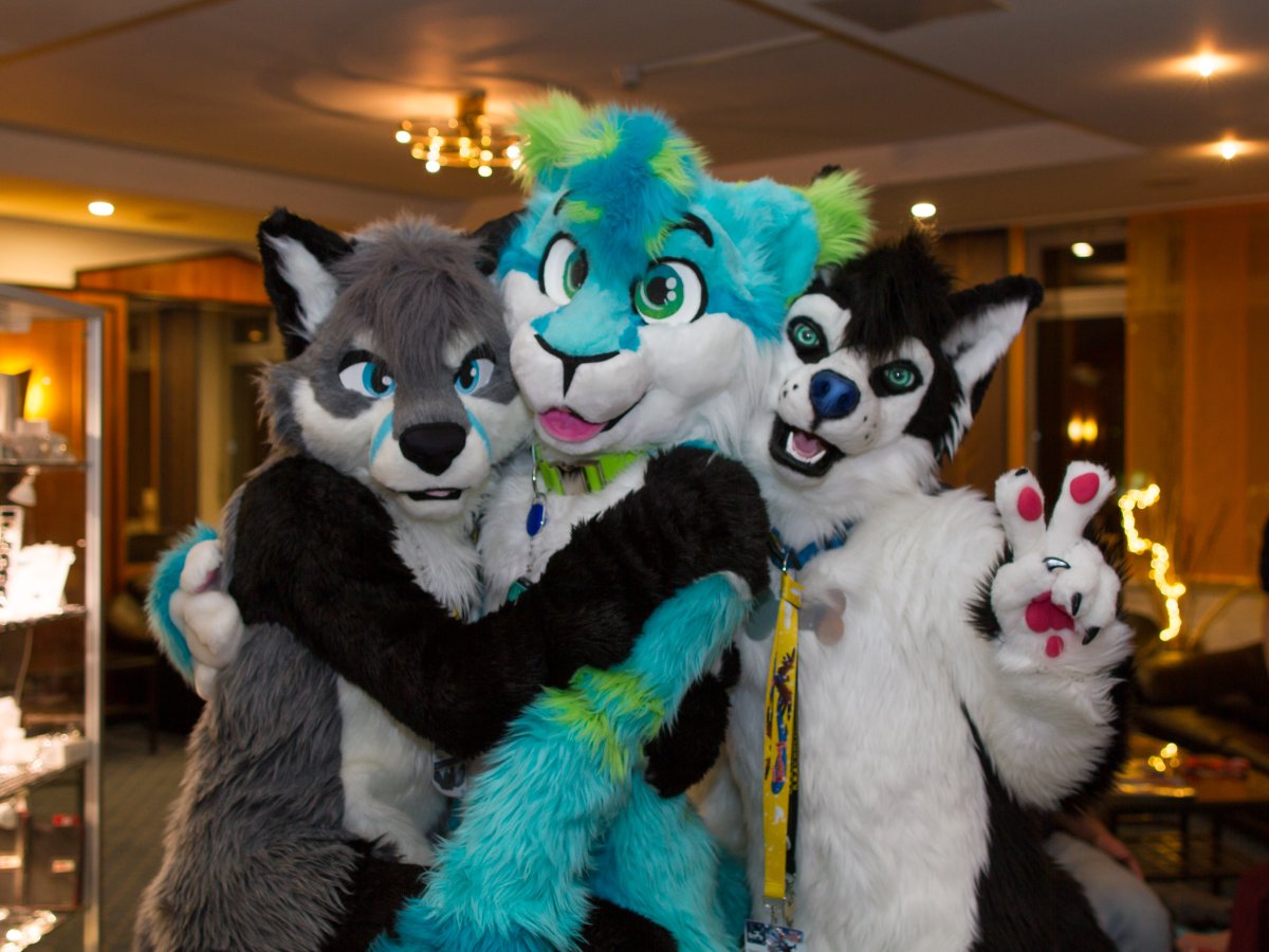 Furvester 2018-2019, Other photos