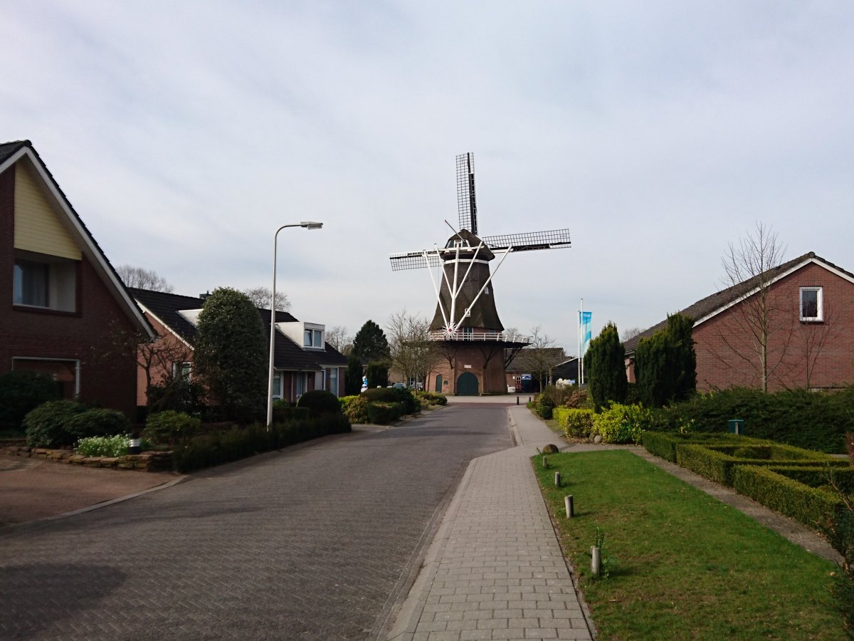 Furry Weekend Holland 2017, Outdoors