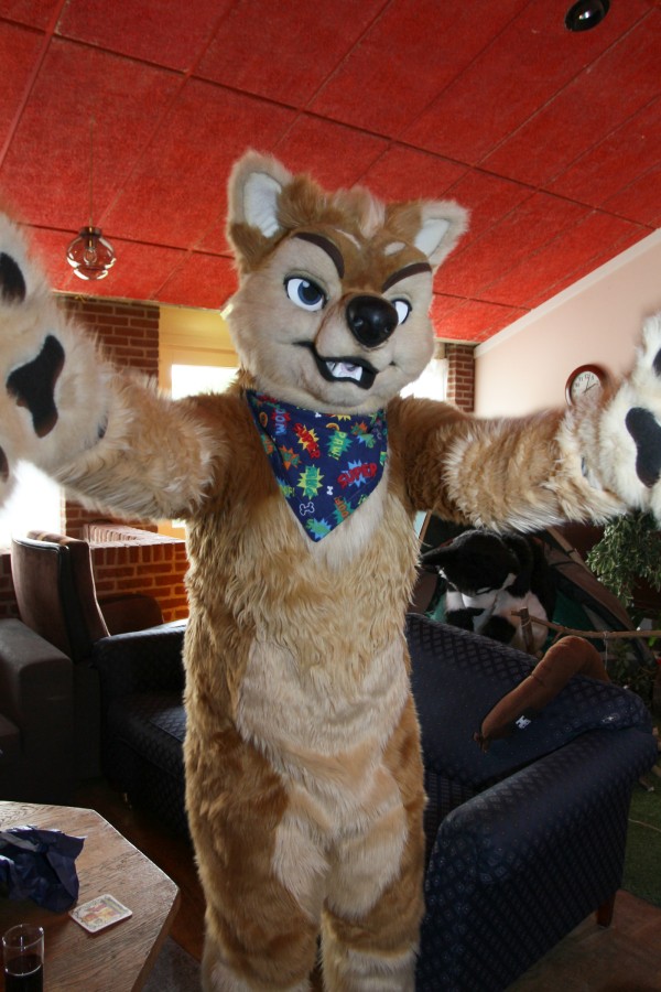 Furry Weekend Holland 2017, Indoors