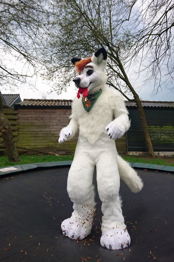 Furry Weekend Holland 2017, Outdoors