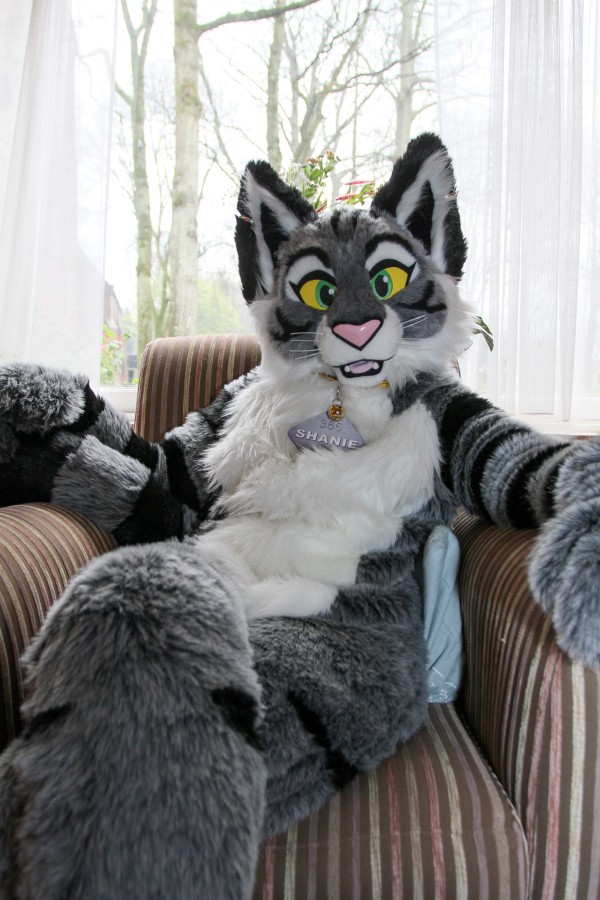 Furry Weekend Holland 2017, Indoors