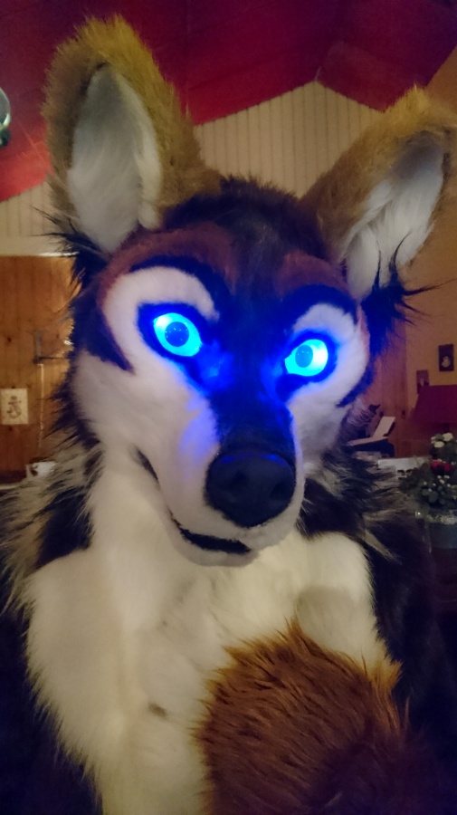 Furry Weekend Holland 2017, Indoors