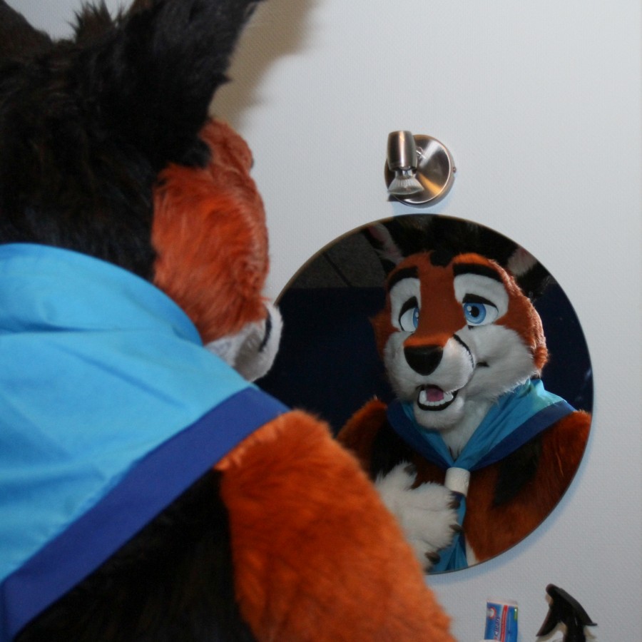 Furry Weekend Holland 2017