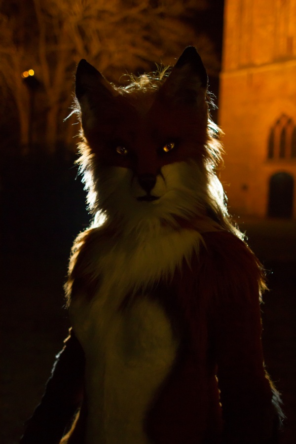 Furry Weekend Holland 2017, Outdoors