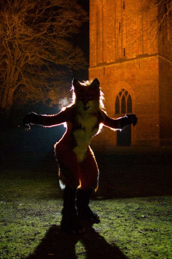 Furry Weekend Holland 2017