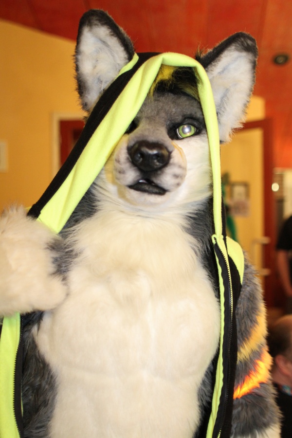 Furry Weekend Holland 2017