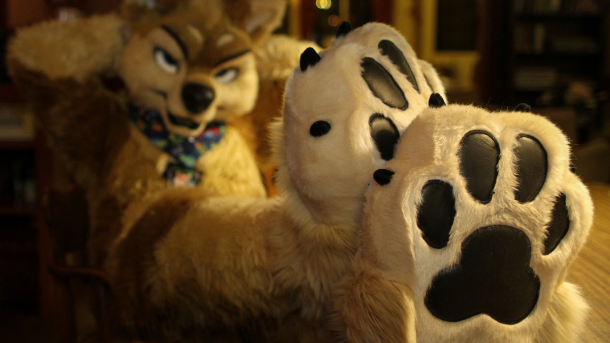 Furry Weekend Holland 2017, Indoors
