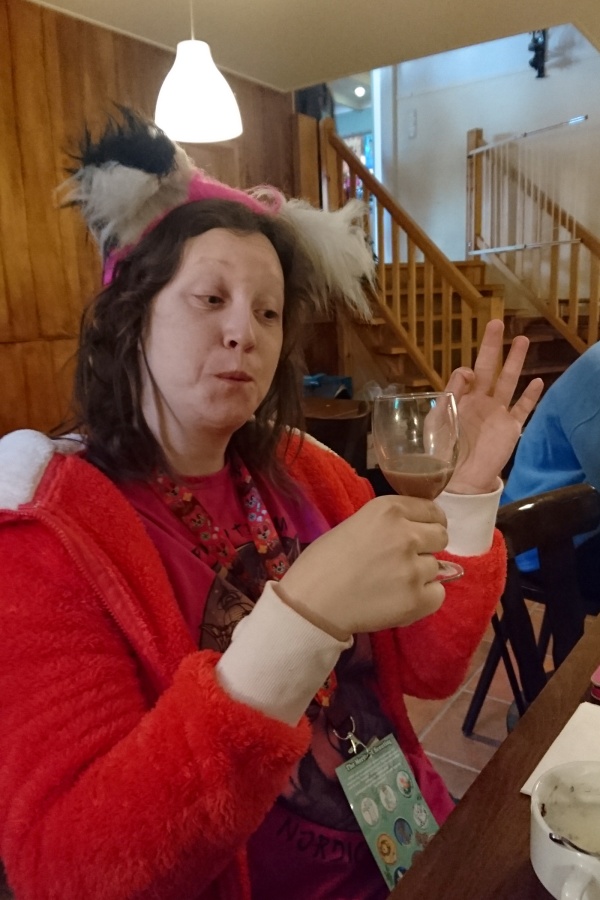 Furry Weekend Holland 2017, Indoors