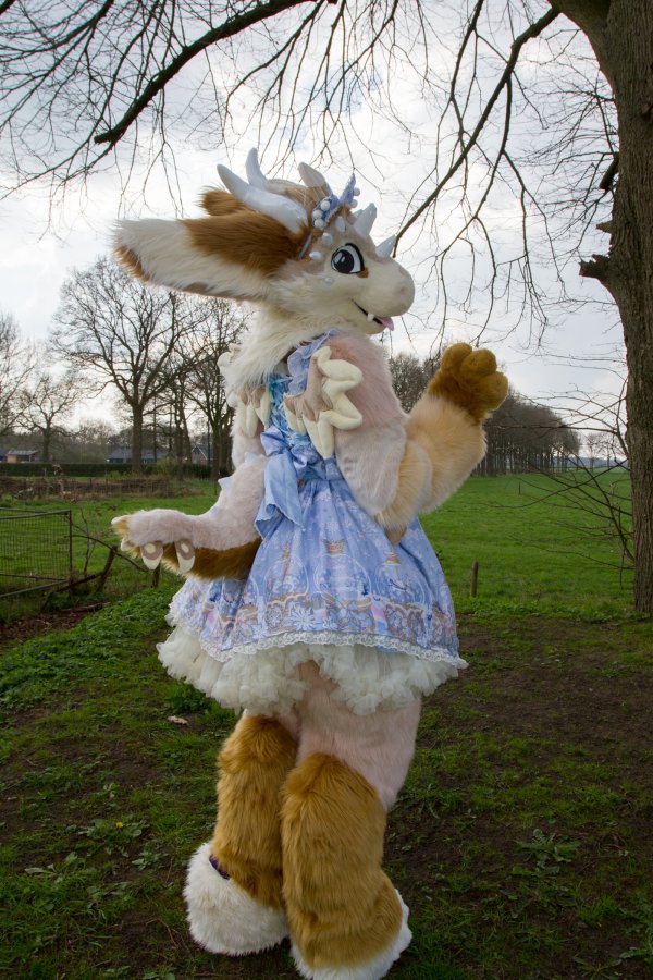 Furry Weekend Holland 2017, Outdoors