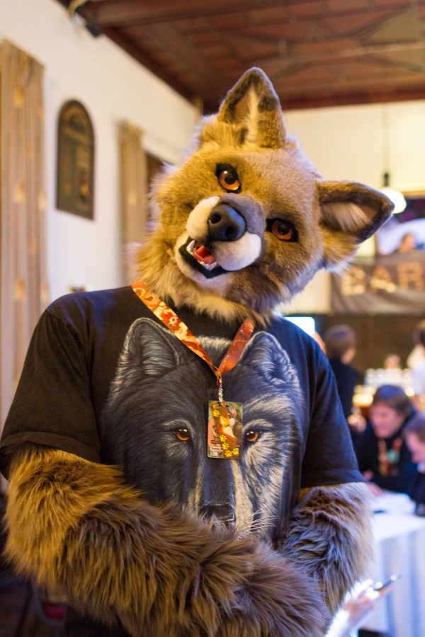 Furry Weekend Holland 2018, Convention