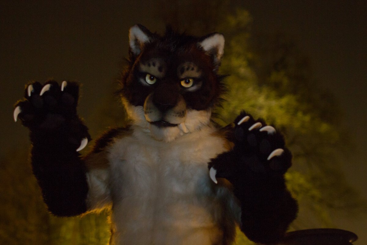 Furry Weekend Holland 2018
