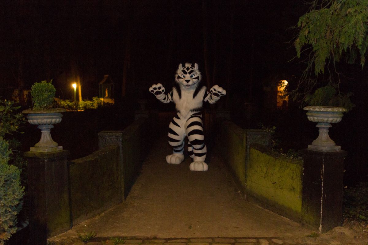 Furry Weekend Holland 2018, Night time photoshoots