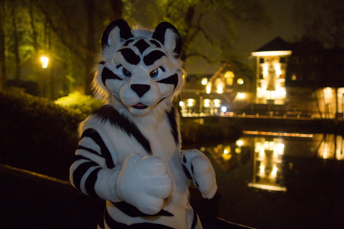 Furry Weekend Holland 2018, Night time photoshoots