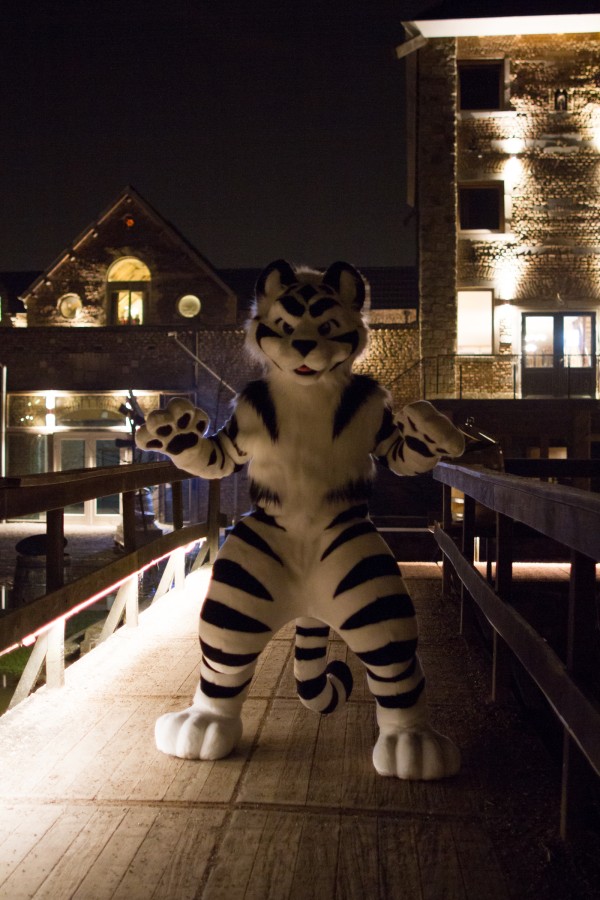 Furry Weekend Holland 2018, Night time photoshoots