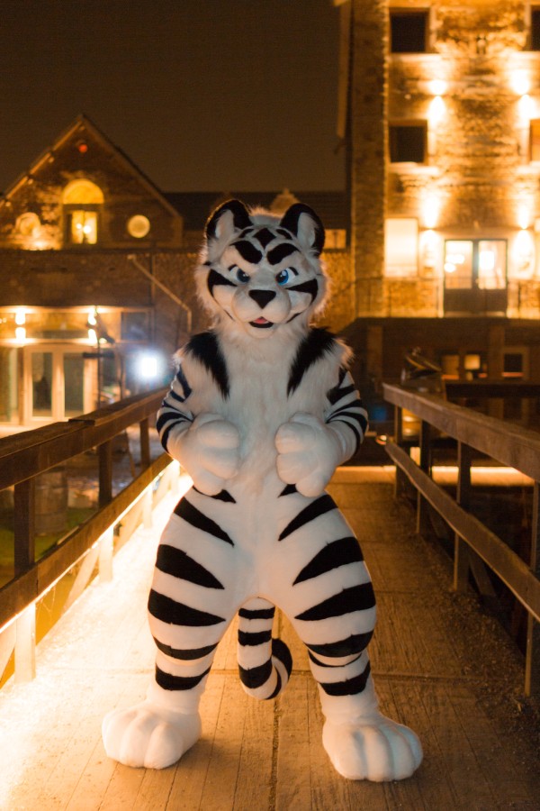 Furry Weekend Holland 2018, Night time photoshoots
