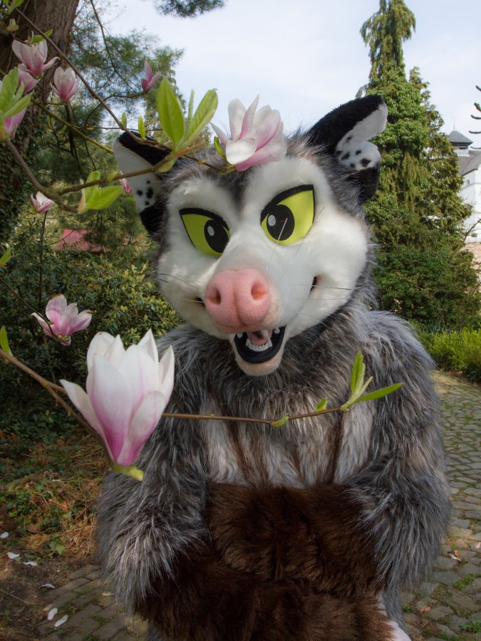 Furry Weekend Holland 2018