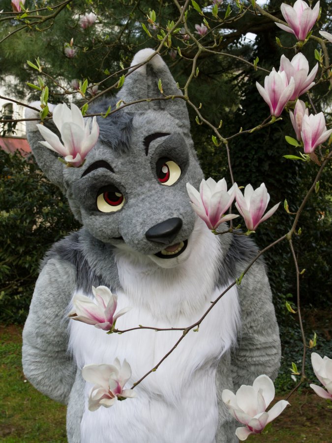 Furry Weekend Holland 2018