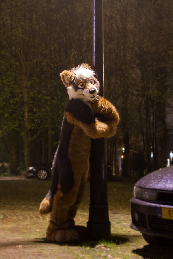 Furry Weekend Holland 2018
