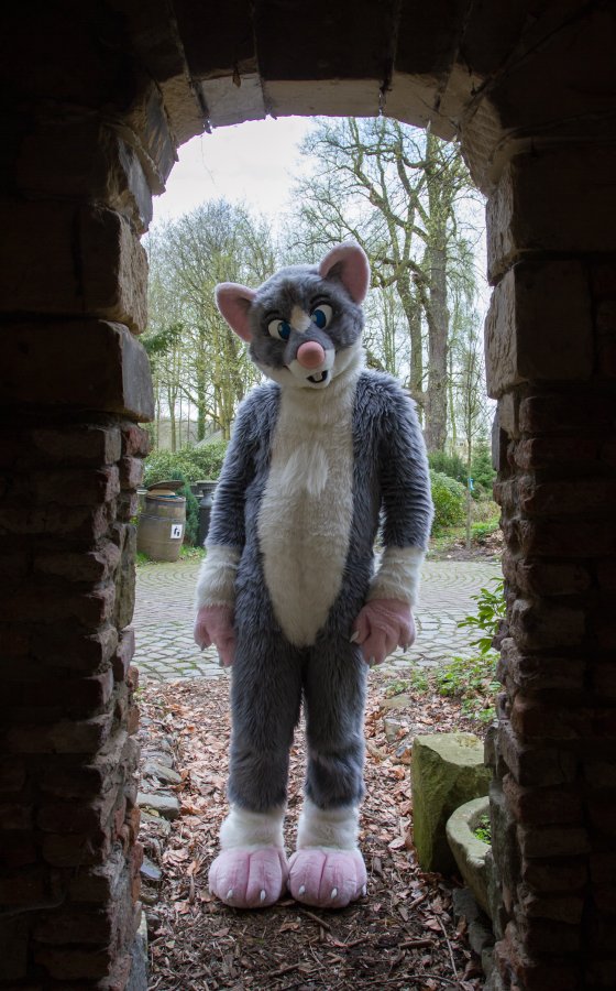 Furry Weekend Holland 2018, Daylight photoshoots