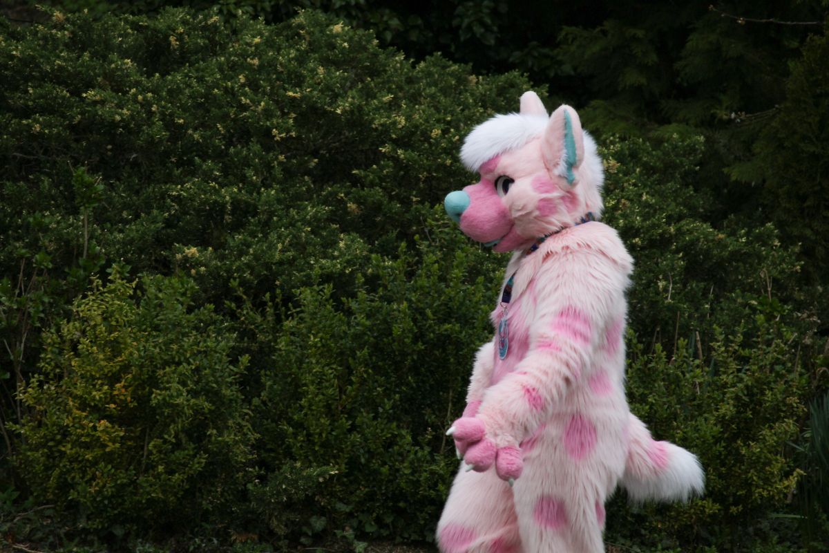 Furry Weekend Holland 2018