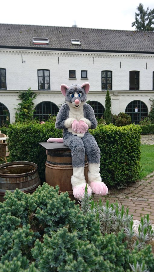 Furry Weekend Holland 2018