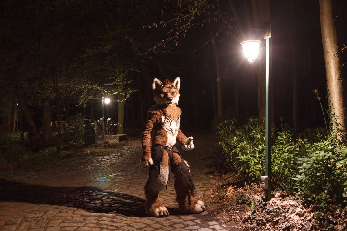 Furry Weekend Holland 2018, Night time photoshoots