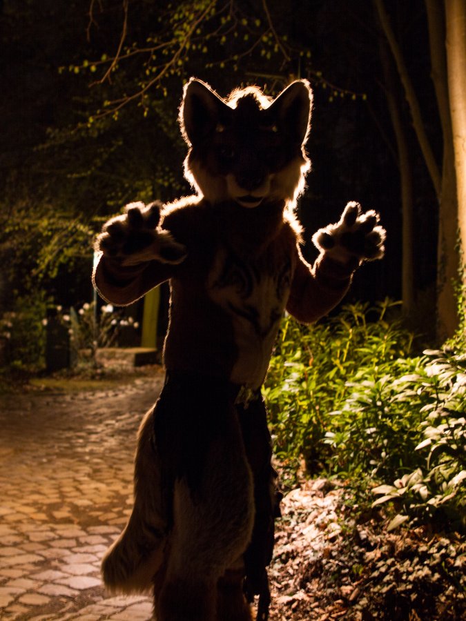 Furry Weekend Holland 2018, Night time photoshoots