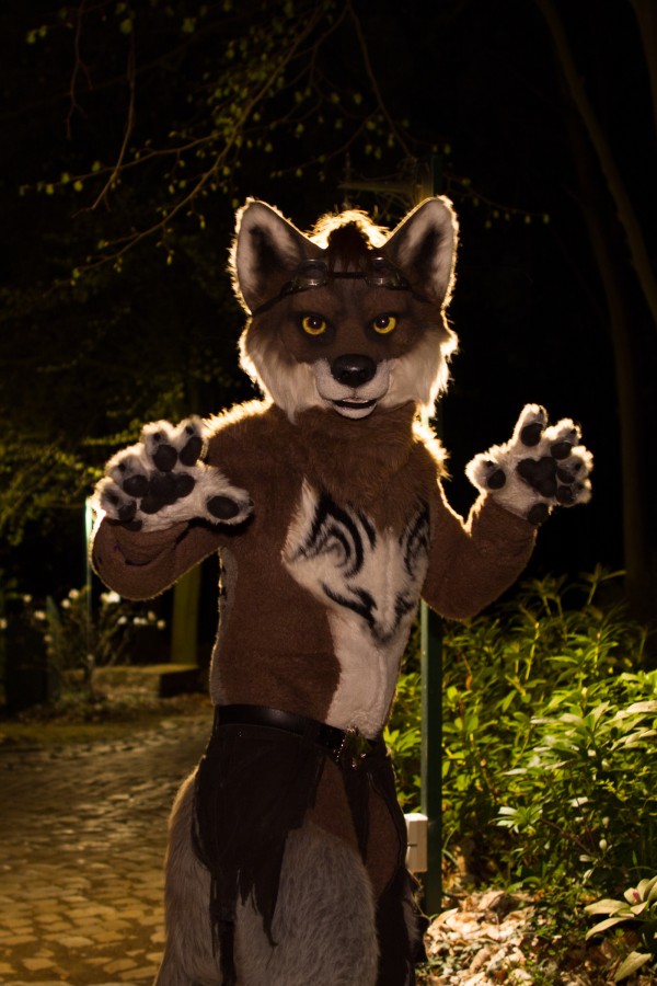 Furry Weekend Holland 2018, Night time photoshoots