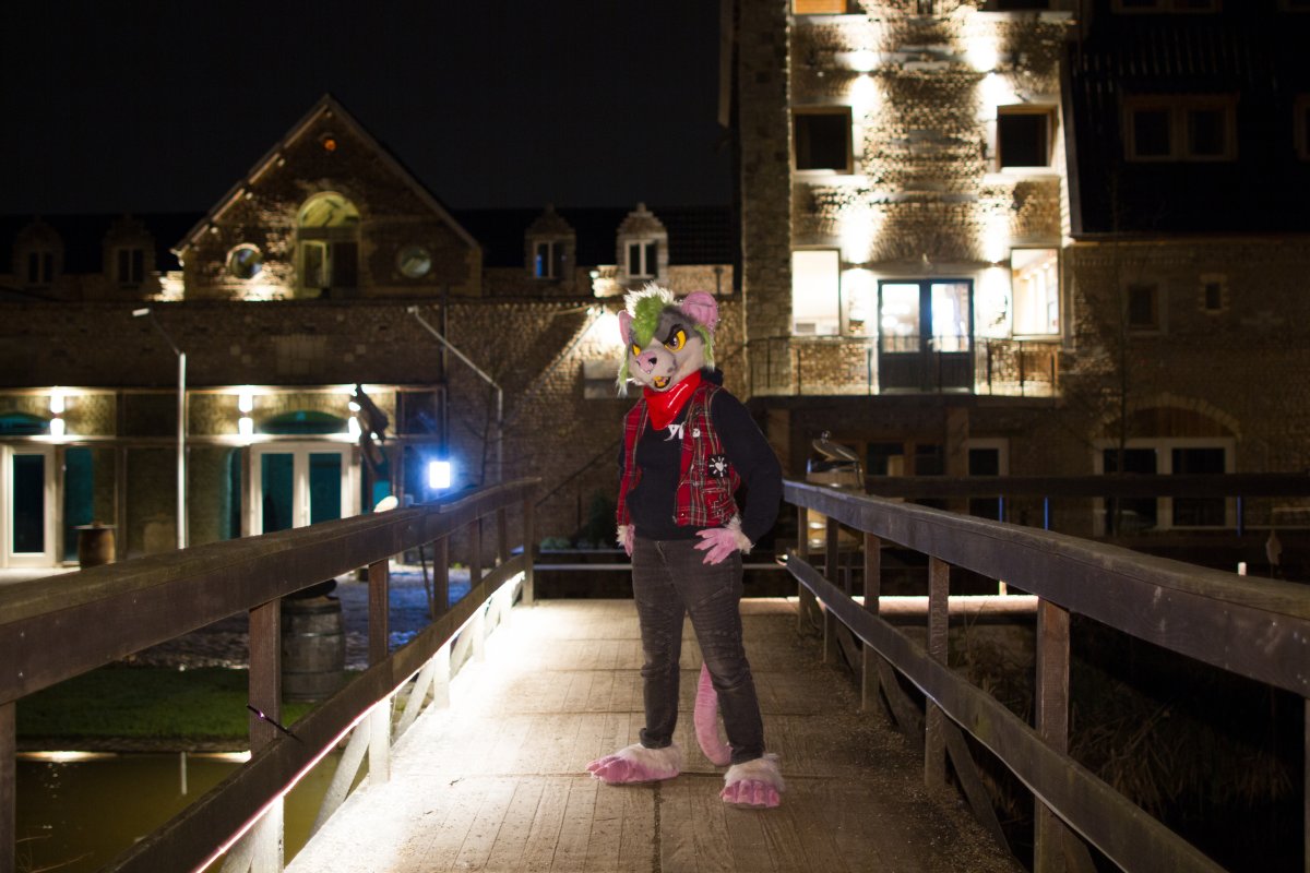 Furry Weekend Holland 2018, Night time photoshoots