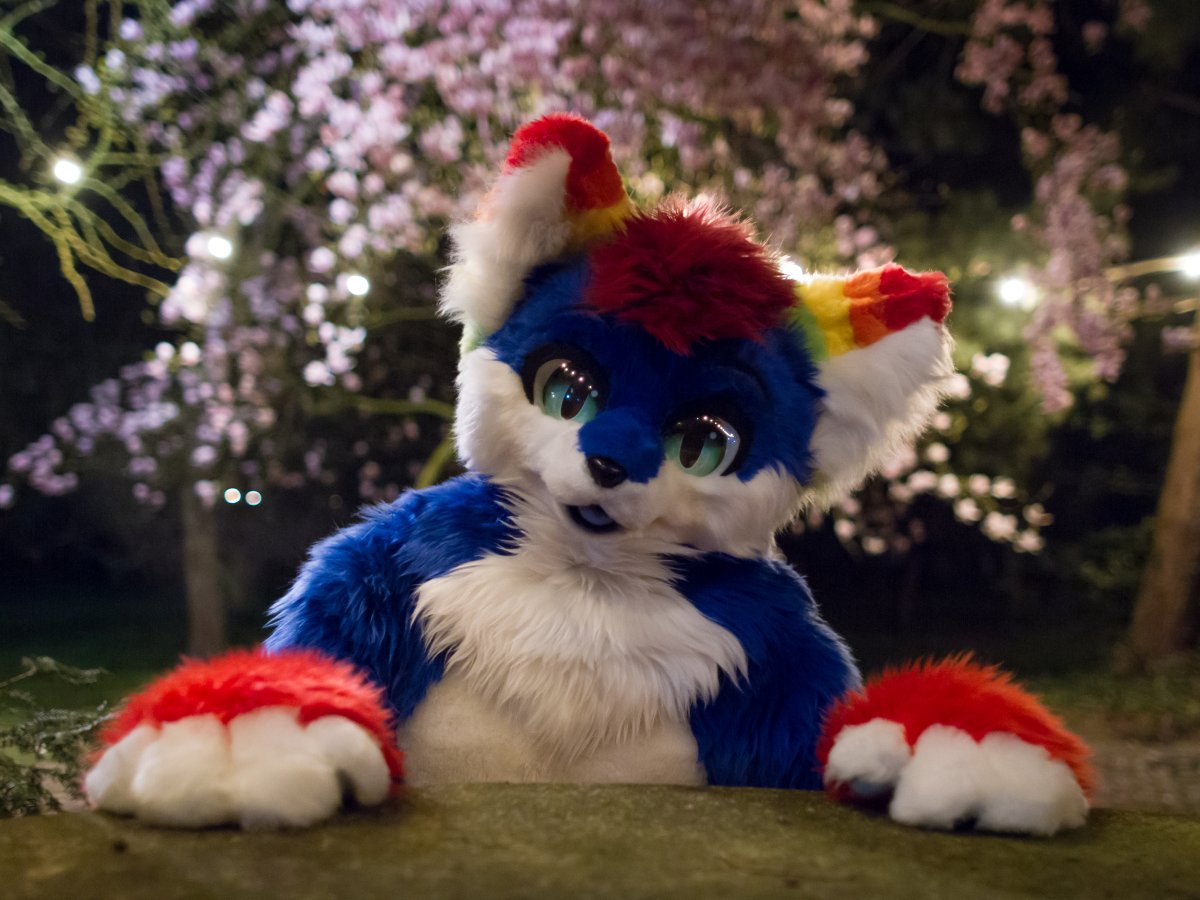 Furry Weekend Holland 2019, Convention photos