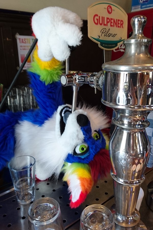 Furry Weekend Holland 2019, Convention photos