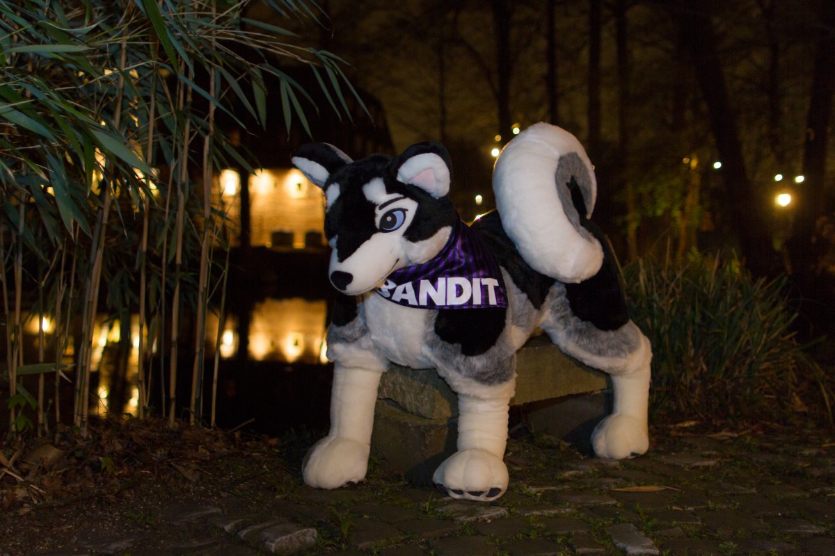 Furry Weekend Holland 2019, Mini photoshoots