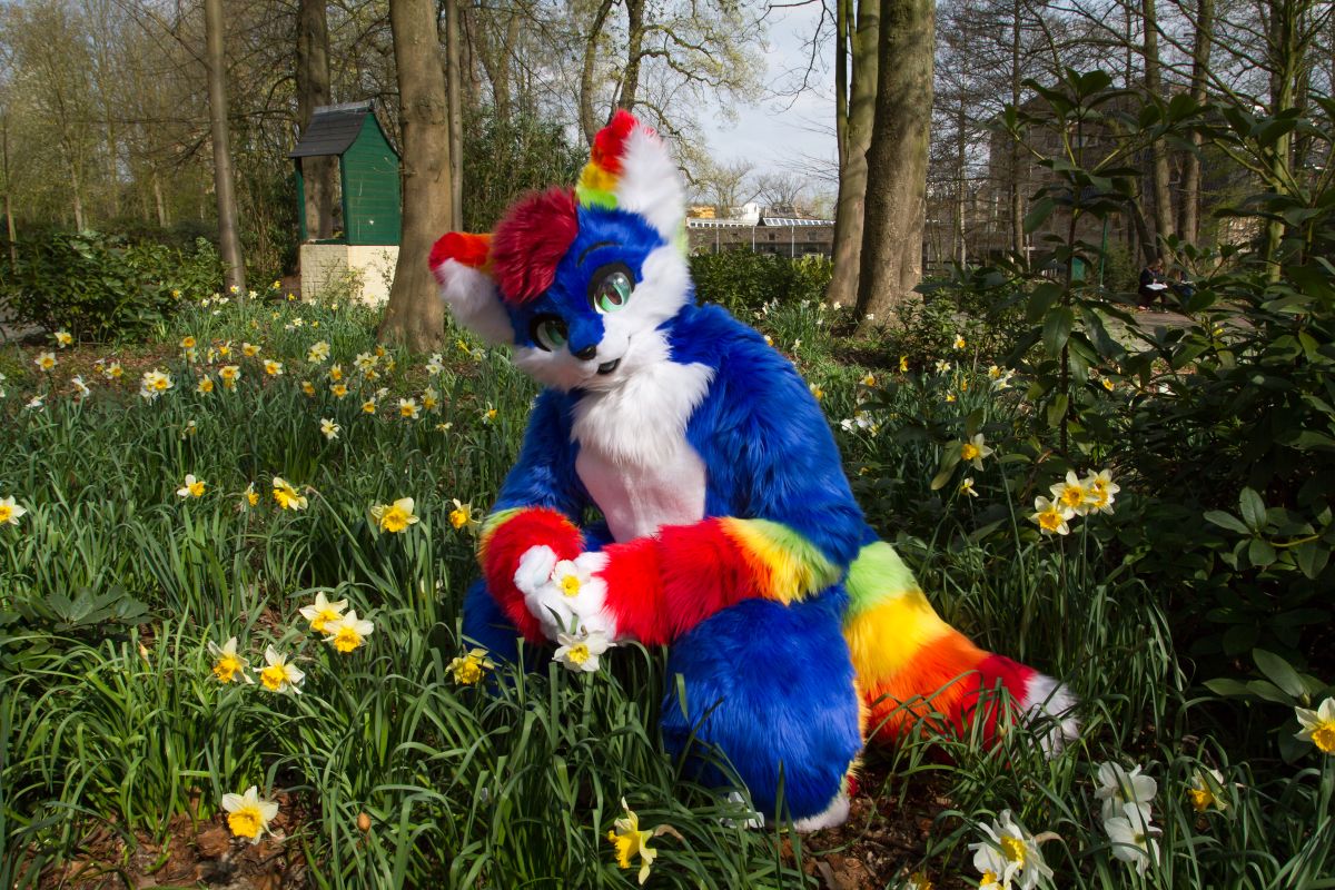 Furry Weekend Holland 2019, Mini photoshoots
