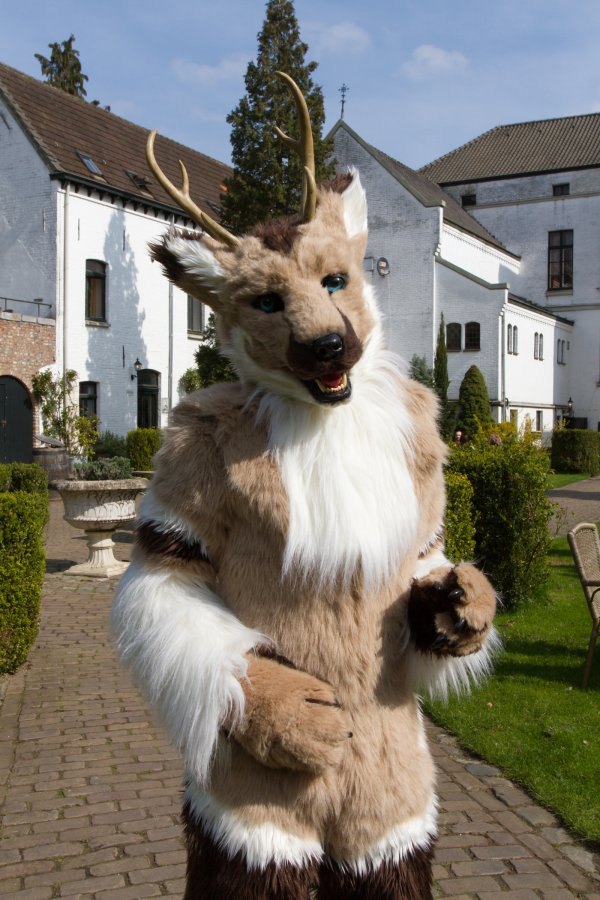 Furry Weekend Holland 2019, Convention photos