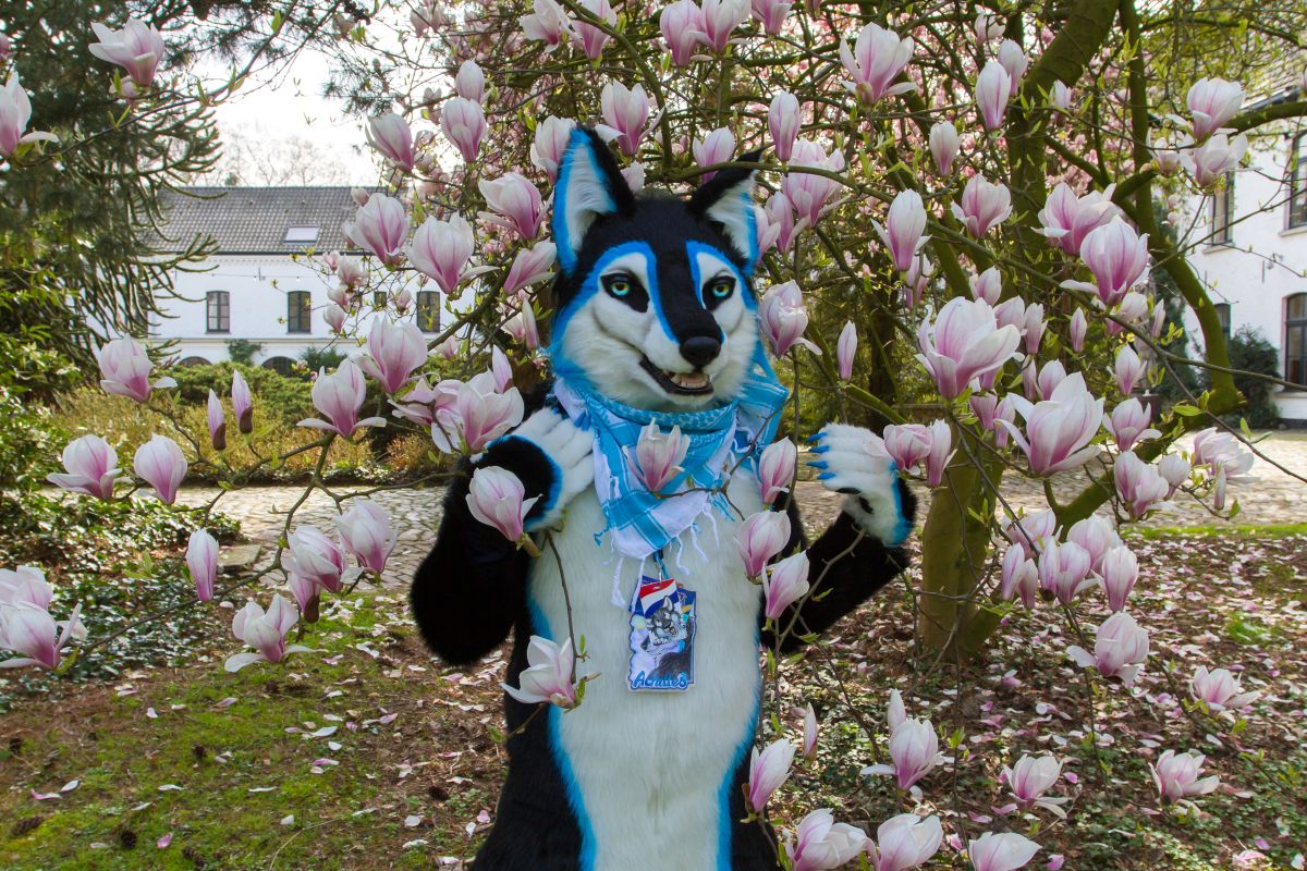 Furry Weekend Holland 2019, Convention photos
