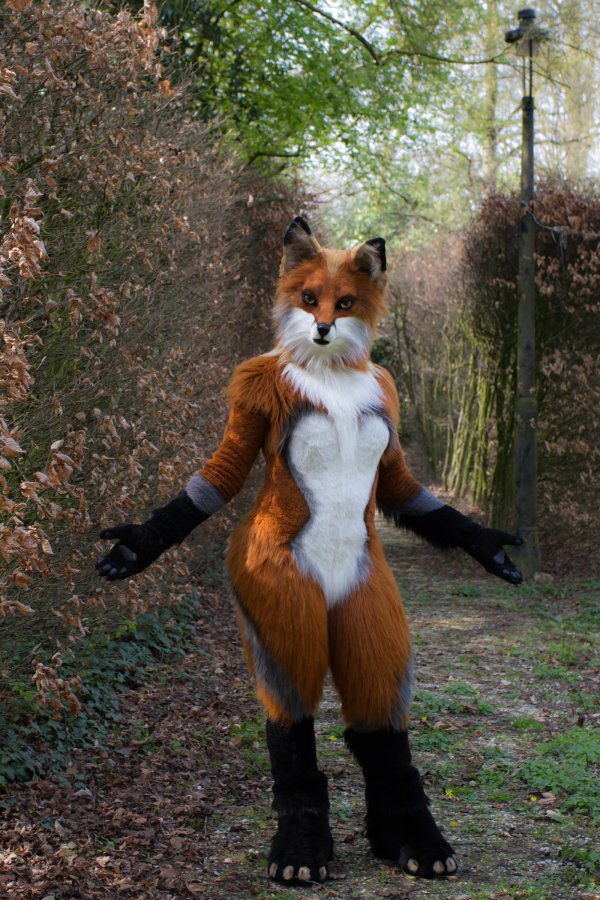 Furry Weekend Holland 2019