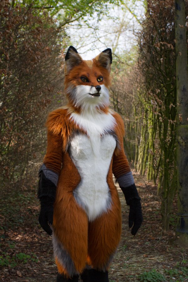 Furry Weekend Holland 2019, Mini photoshoots